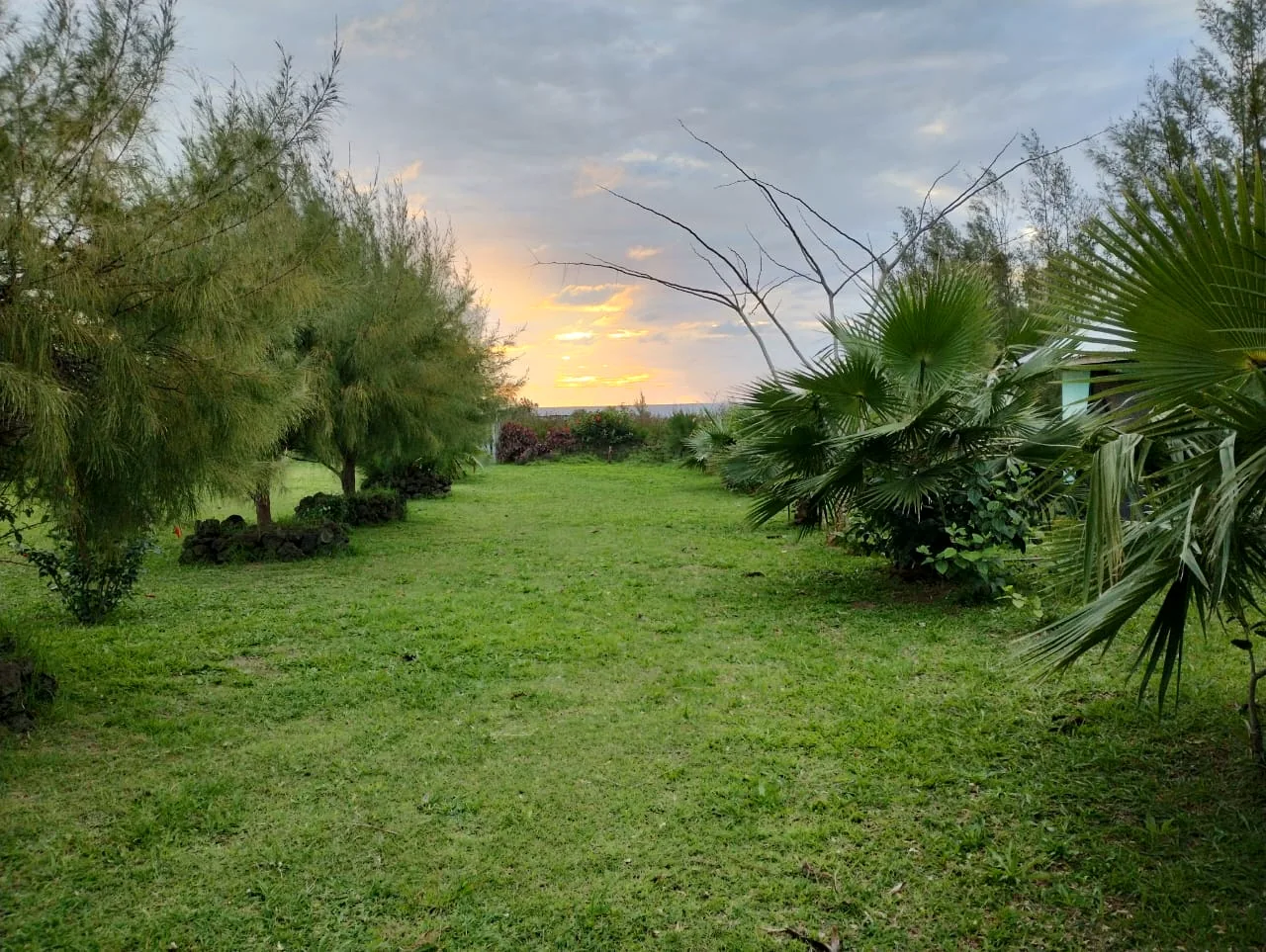 Terreno verde del Camping Kona Noho al atardecer, Rapa Nui