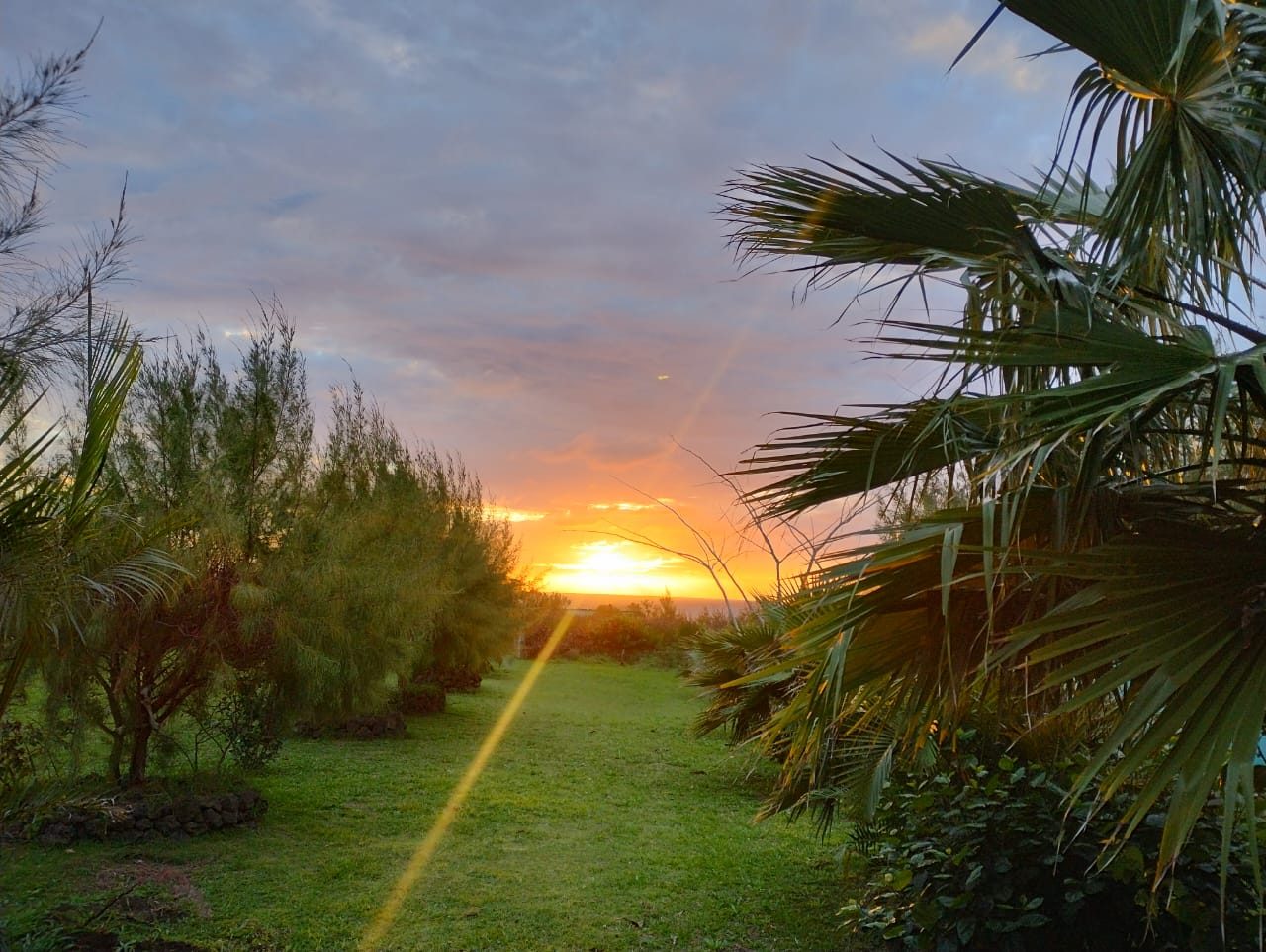 Área verde del Camping Kona Noho al atardecer, Rapa Nui